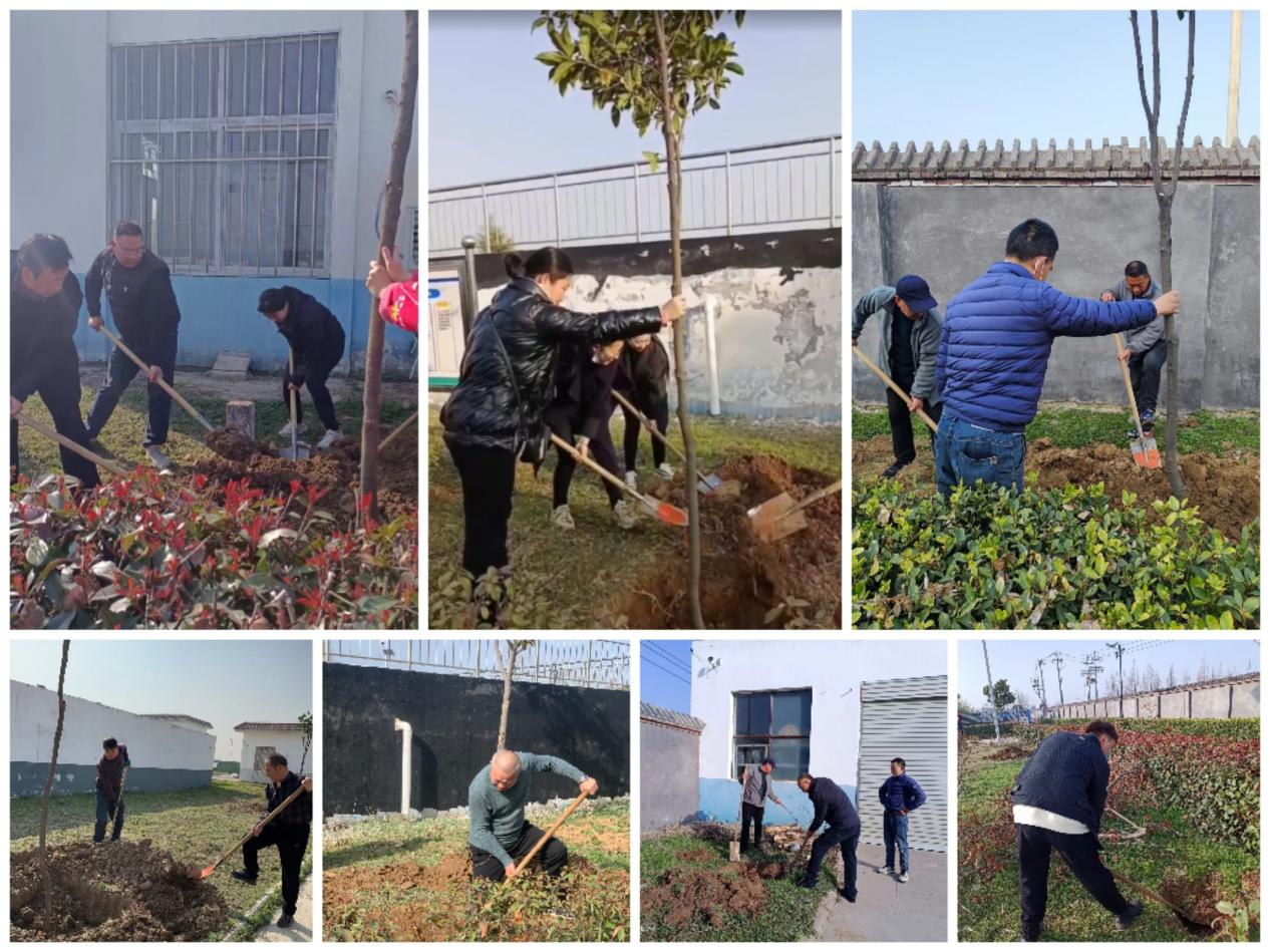 图片9.png 图片9.png